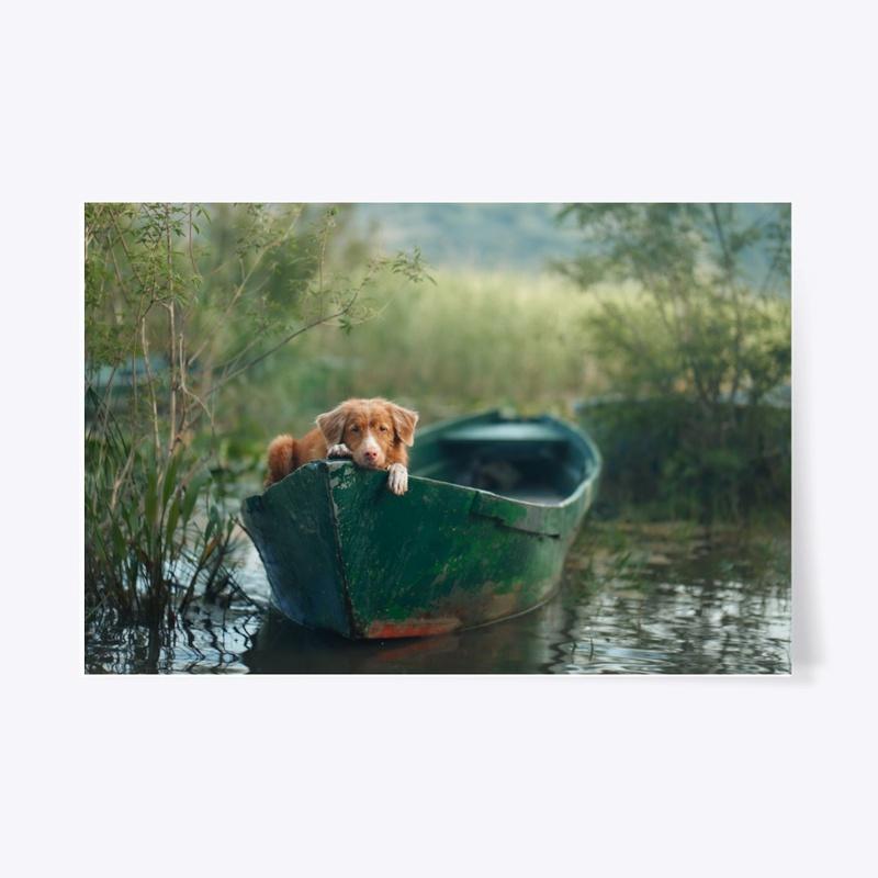 Dogs on boat