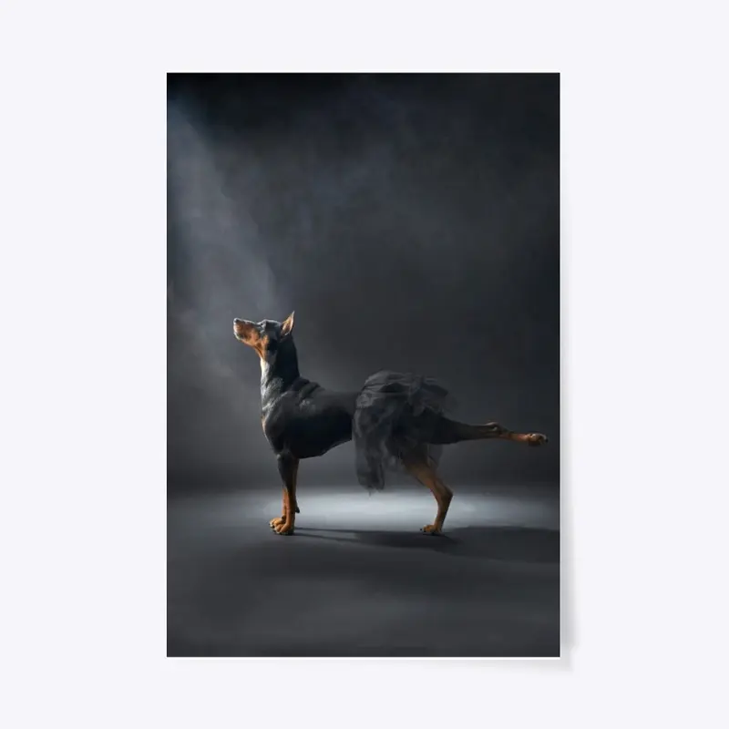 Ballerina 